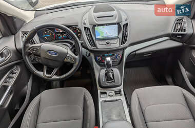 Внедорожник / Кроссовер Ford Kuga 2019 в 