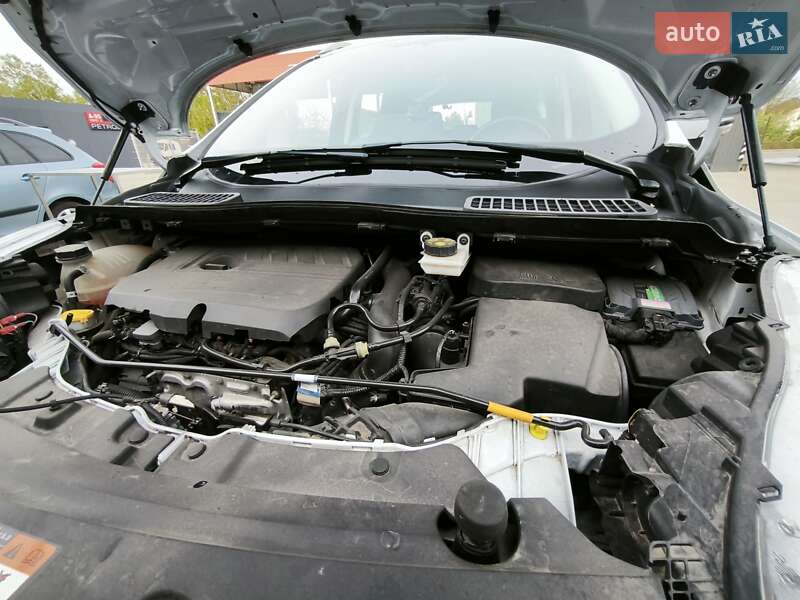 Позашляховик / Кросовер Ford Kuga 2018 в Здолбуніві