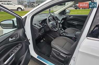 Внедорожник / Кроссовер Ford Kuga 2019 в 