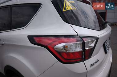 Внедорожник / Кроссовер Ford Kuga 2019 в 
