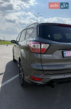 Внедорожник / Кроссовер Ford Kuga 2019 в 