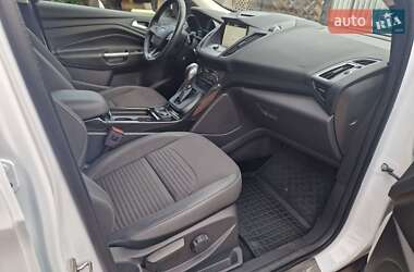 Внедорожник / Кроссовер Ford Kuga 2019 в 