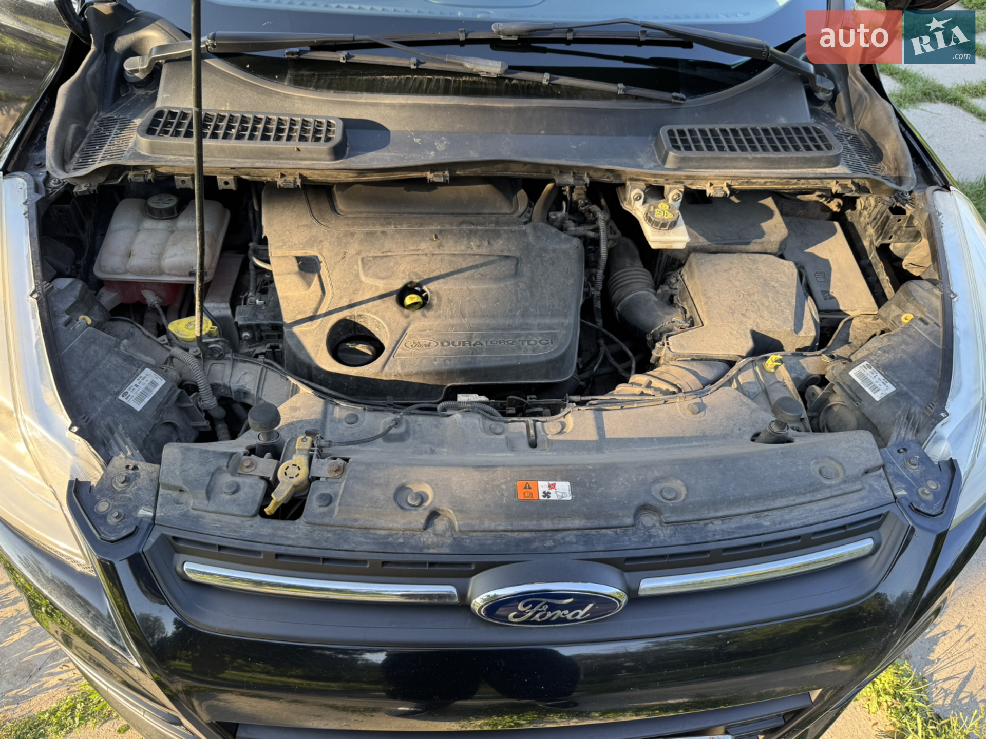 2013 Ford Kuga - мініатюра 7