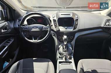 Внедорожник / Кроссовер Ford Kuga 2019 в 