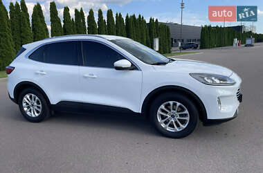Внедорожник / Кроссовер Ford Kuga 2020 в 