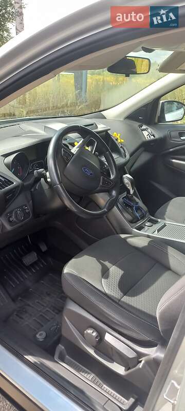 Внедорожник / Кроссовер Ford Kuga 2019 в Ромнах фото 89 Внедорожник / Кроссовер Ford Kuga 2019 в Ромнах