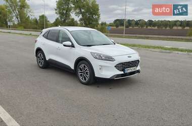 Внедорожник / Кроссовер Ford Kuga 2020 в Ромнах