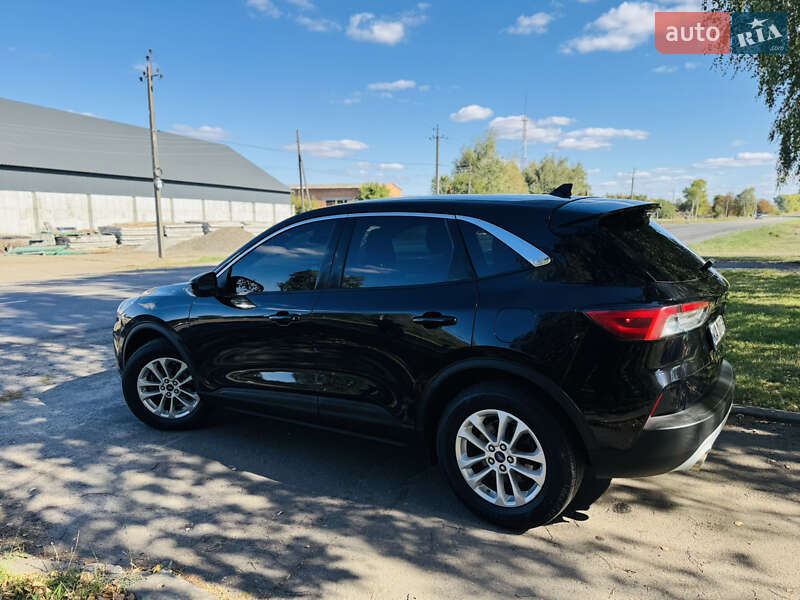 Внедорожник / Кроссовер Ford Kuga 2021 в Ромнах