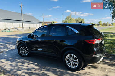 Позашляховик / Кросовер Ford Kuga 2021 в 