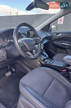 Внедорожник / Кроссовер Ford Kuga 2019 в 