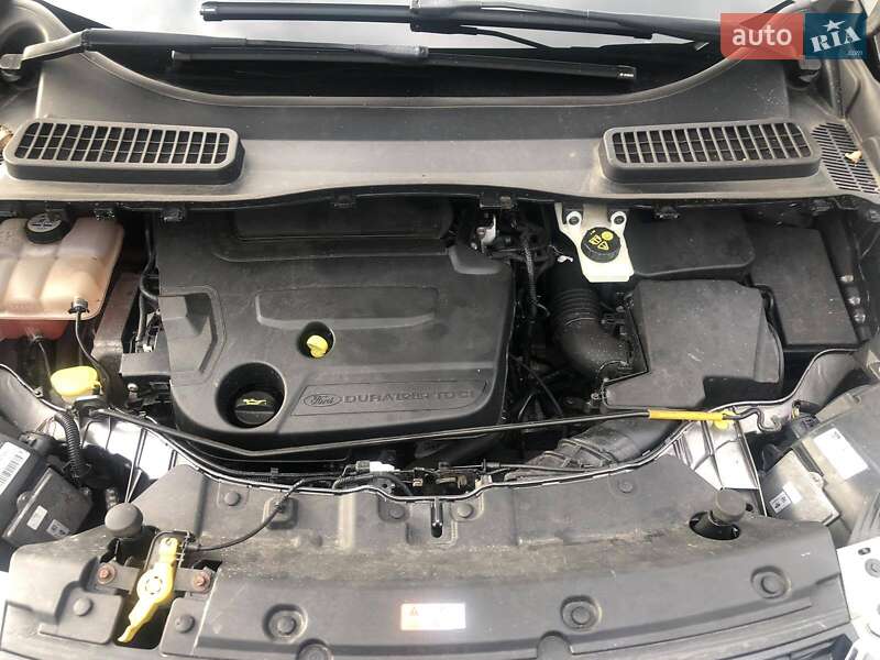 Внедорожник / Кроссовер Ford Kuga 2013 в Луцке фото 16 Внедорожник / Кроссовер Ford Kuga 2013 в Луцке