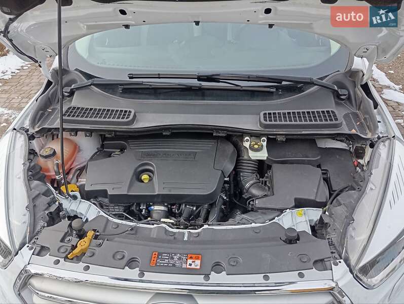 Внедорожник / Кроссовер Ford Kuga 2017 в Моршине