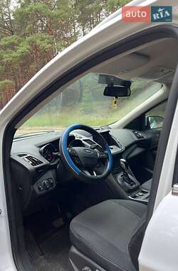 Внедорожник / Кроссовер Ford Kuga 2019 в 