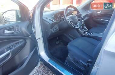 Позашляховик / Кросовер Ford Kuga 2019 в Хмільнику