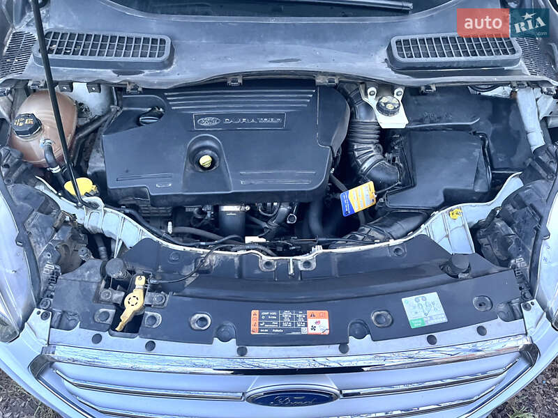 Внедорожник / Кроссовер Ford Kuga 2017 в Хусте