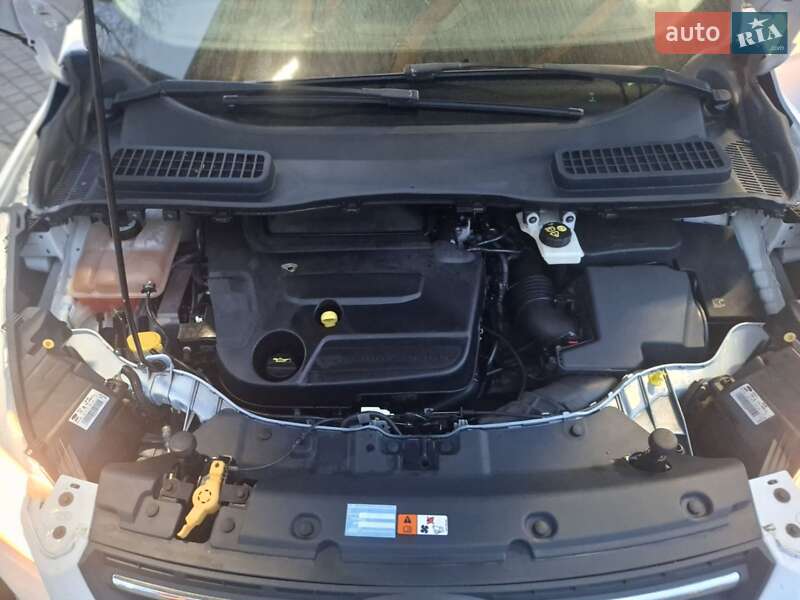 Внедорожник / Кроссовер Ford Kuga 2014 в Тернополе