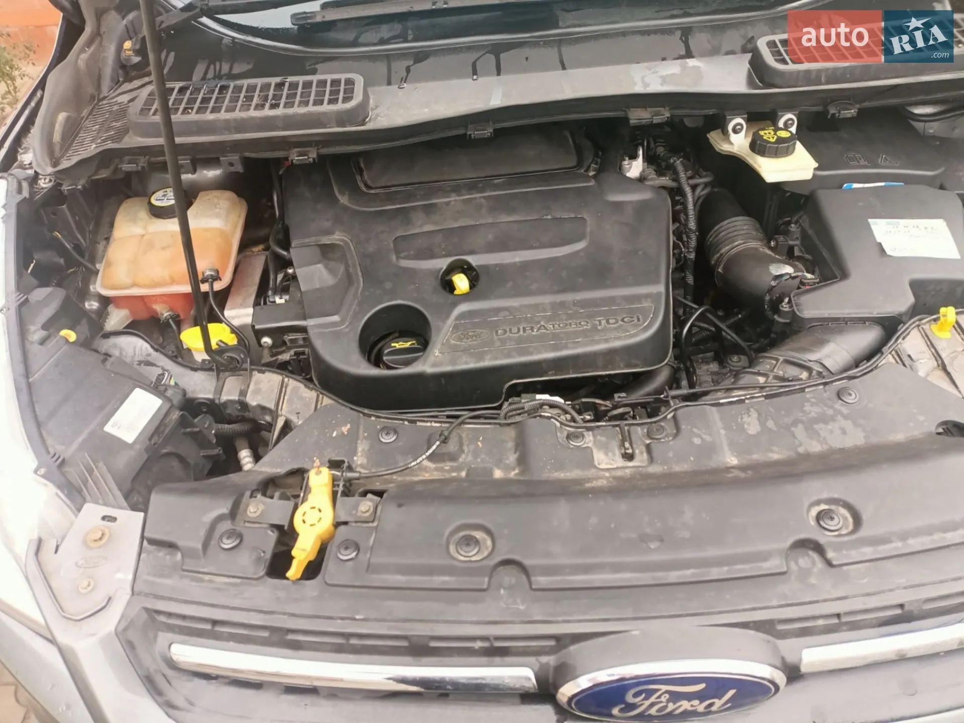 2014 Ford Kuga - мініатюра 5