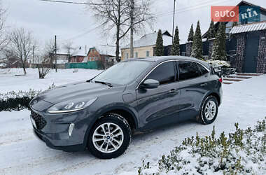 Позашляховик / Кросовер Ford Kuga 2021 в Ромнах