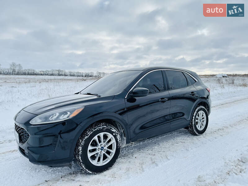 Внедорожник / Кроссовер Ford Kuga 2021 в Лохвице