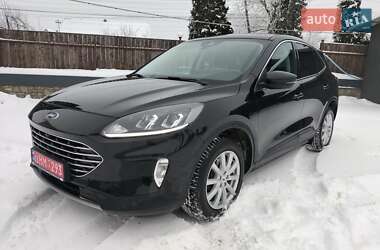 Внедорожник / Кроссовер Ford Kuga 2020 в Дунаевцах