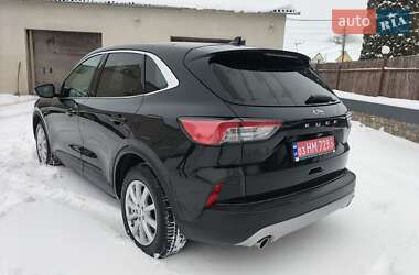 Позашляховик / Кросовер Ford Kuga 2020 в Дунаївцях