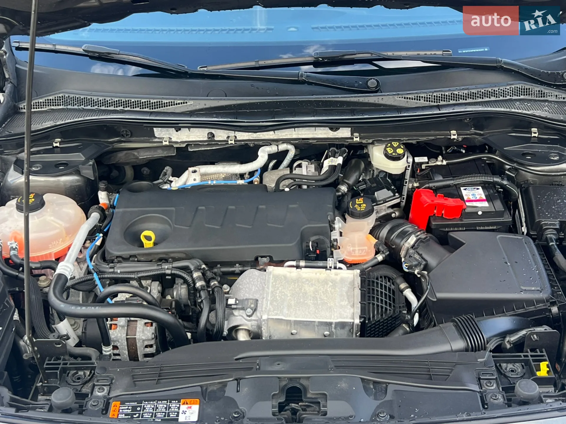 2021 Ford Kuga - мініатюра 8