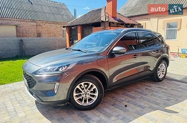 Внедорожник / Кроссовер Ford Kuga 2022 в Ромнах