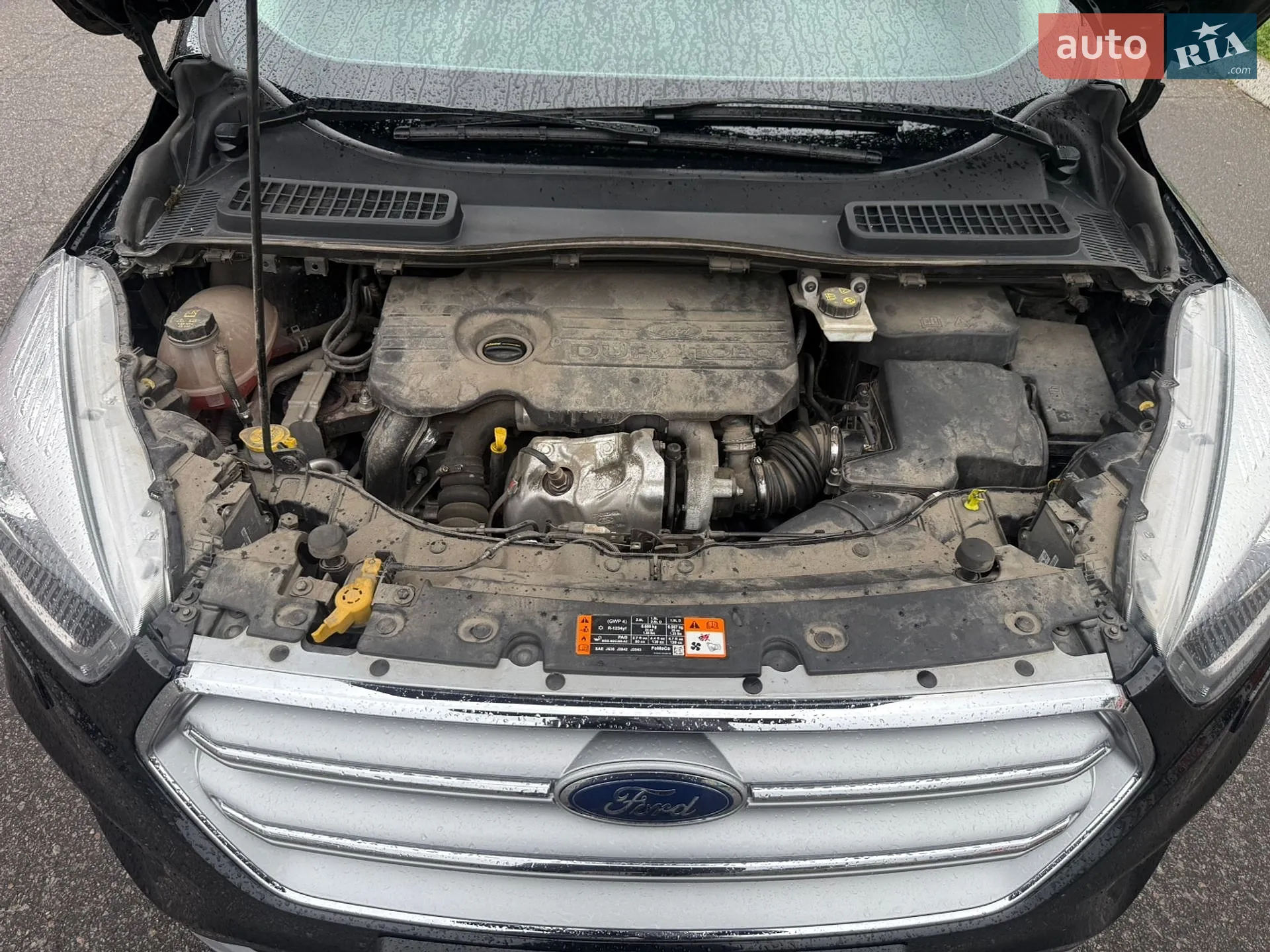 2019 Ford Kuga - мініатюра 19