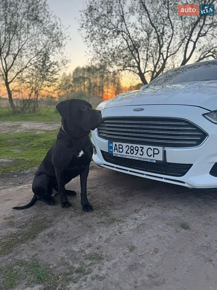 2018 Ford Mondeo - мініатюра 9