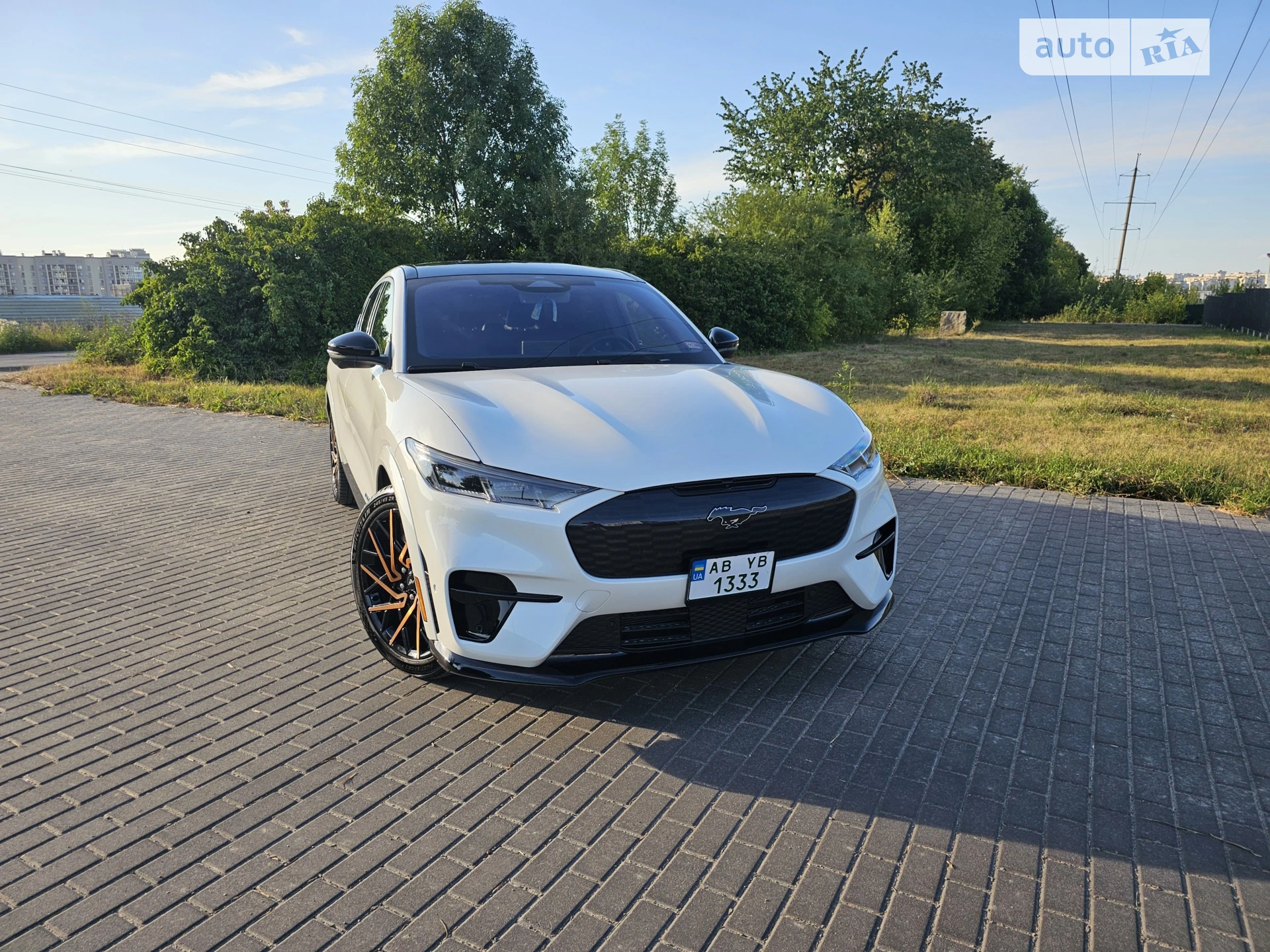 2023 Ford Mustang Mach-E - мініатюра 14