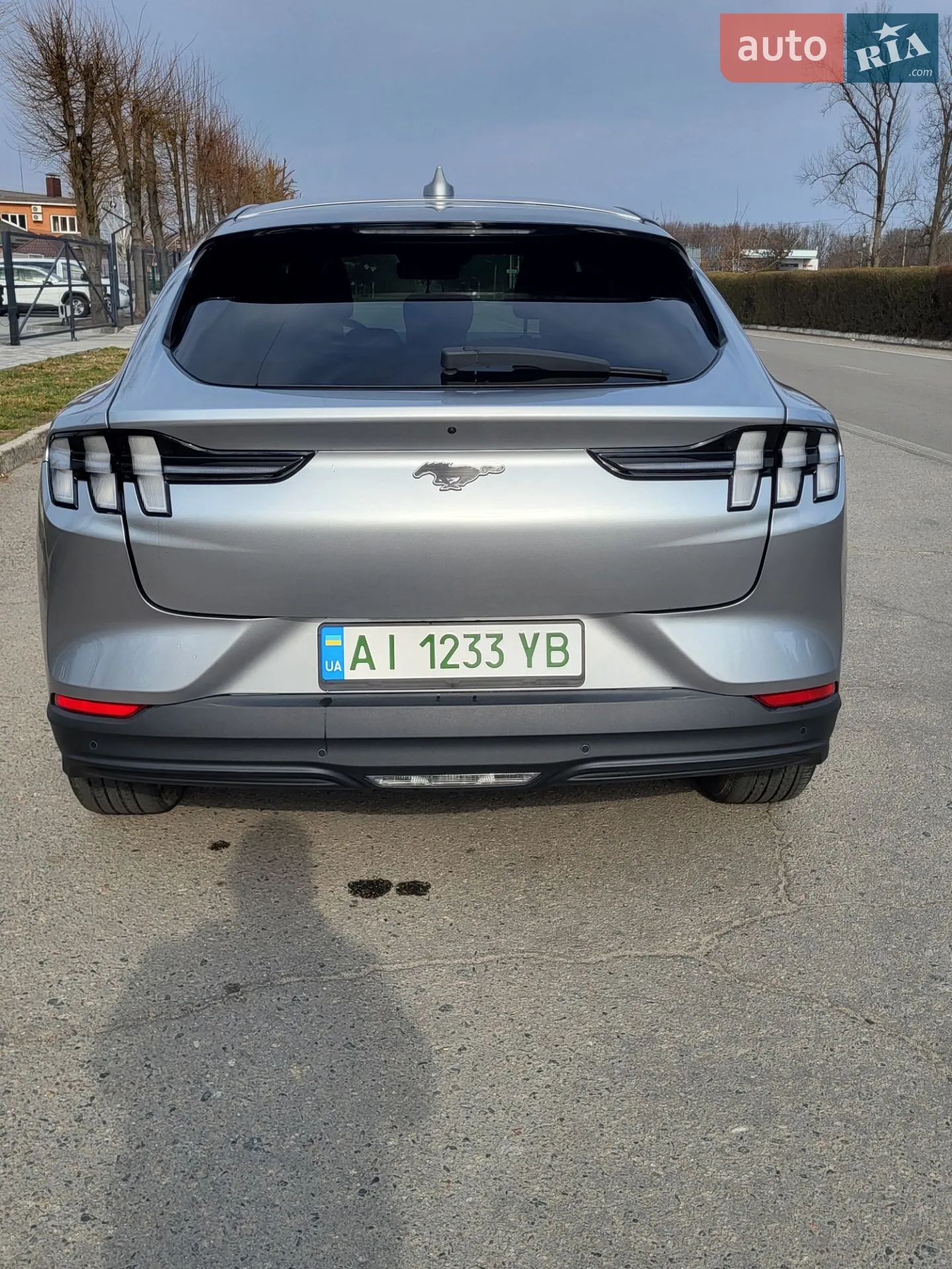 2021 Ford Mustang Mach-E - мініатюра 6