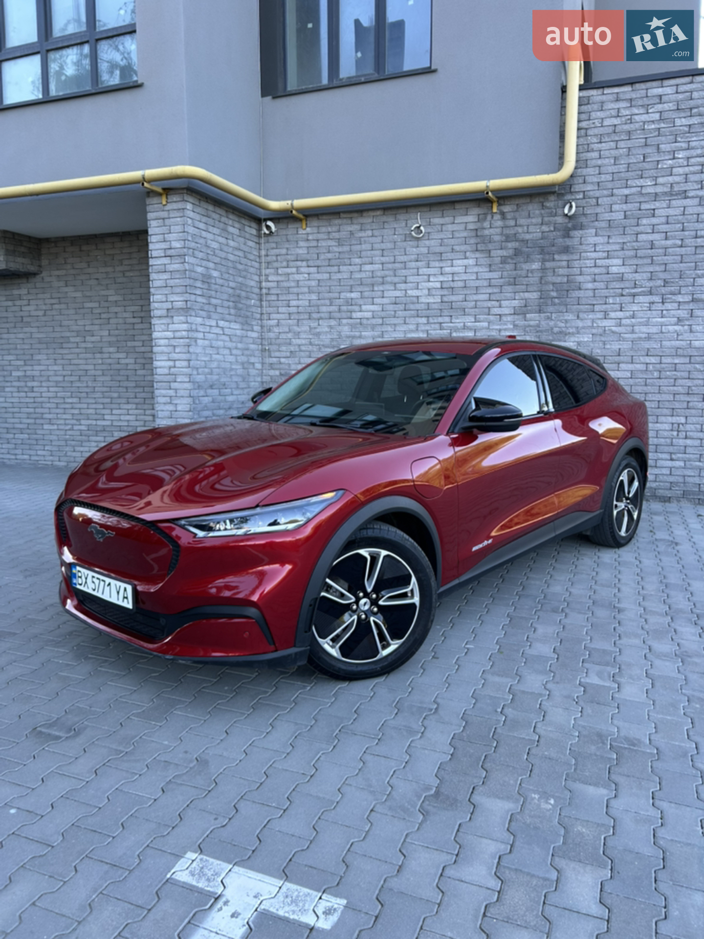 2022 Ford Mustang Mach-E - фото 1
