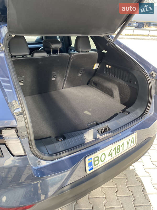 Внедорожник / Кроссовер Ford Mustang Mach-E 2021 в Тернополе фото 33 Внедорожник / Кроссовер Ford Mustang Mach-E 2021 в Тернополе