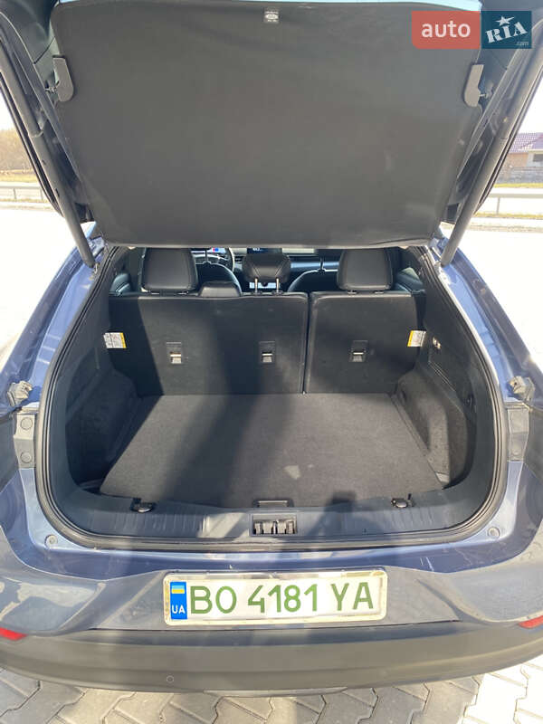 Внедорожник / Кроссовер Ford Mustang Mach-E 2021 в Тернополе фото 38 Внедорожник / Кроссовер Ford Mustang Mach-E 2021 в Тернополе