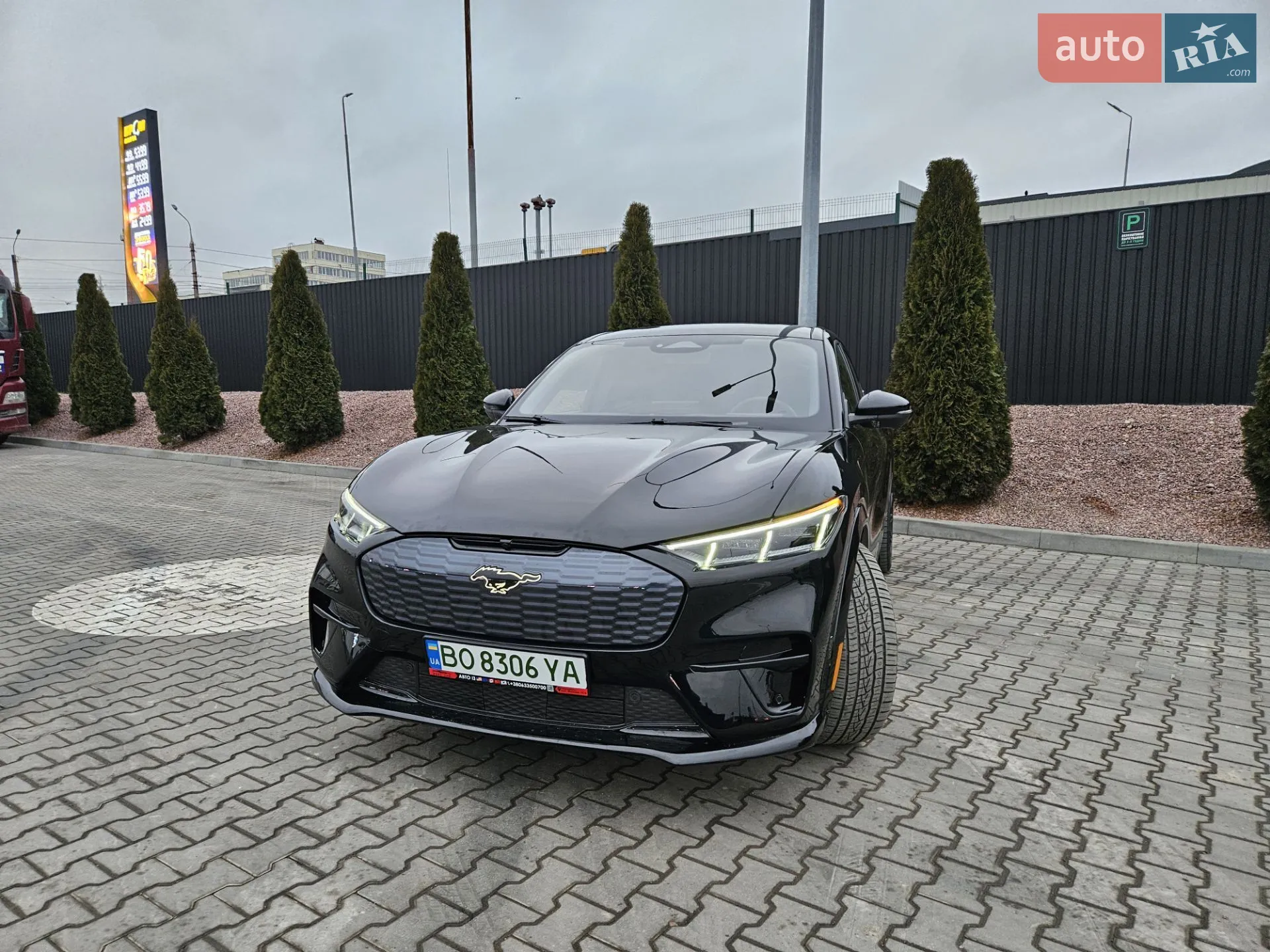 2021 Ford Mustang Mach-E - мініатюра 3