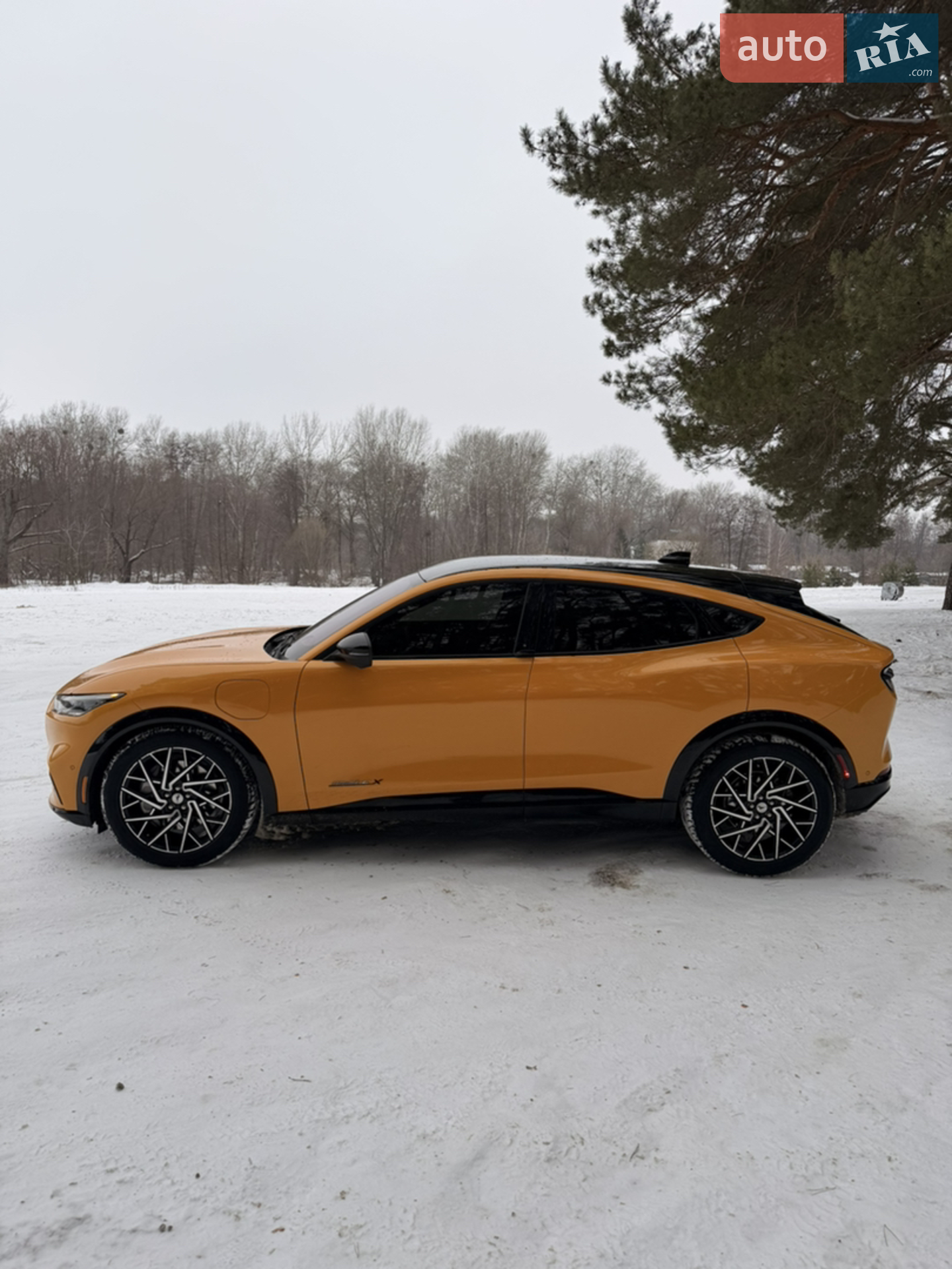 2022 Ford Mustang Mach-E - мініатюра 9