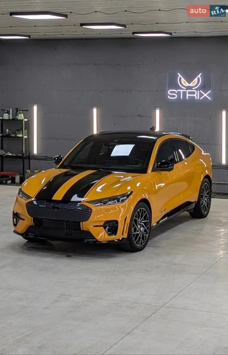 2021 Ford Mustang Mach-E - мініатюра 16
