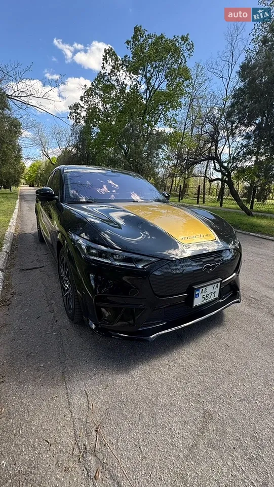 2021 Ford Mustang Mach-E - мініатюра 28