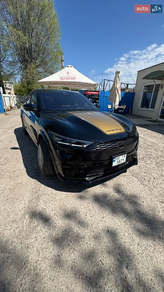 2022 Ford Mustang Mach-E - мініатюра 16