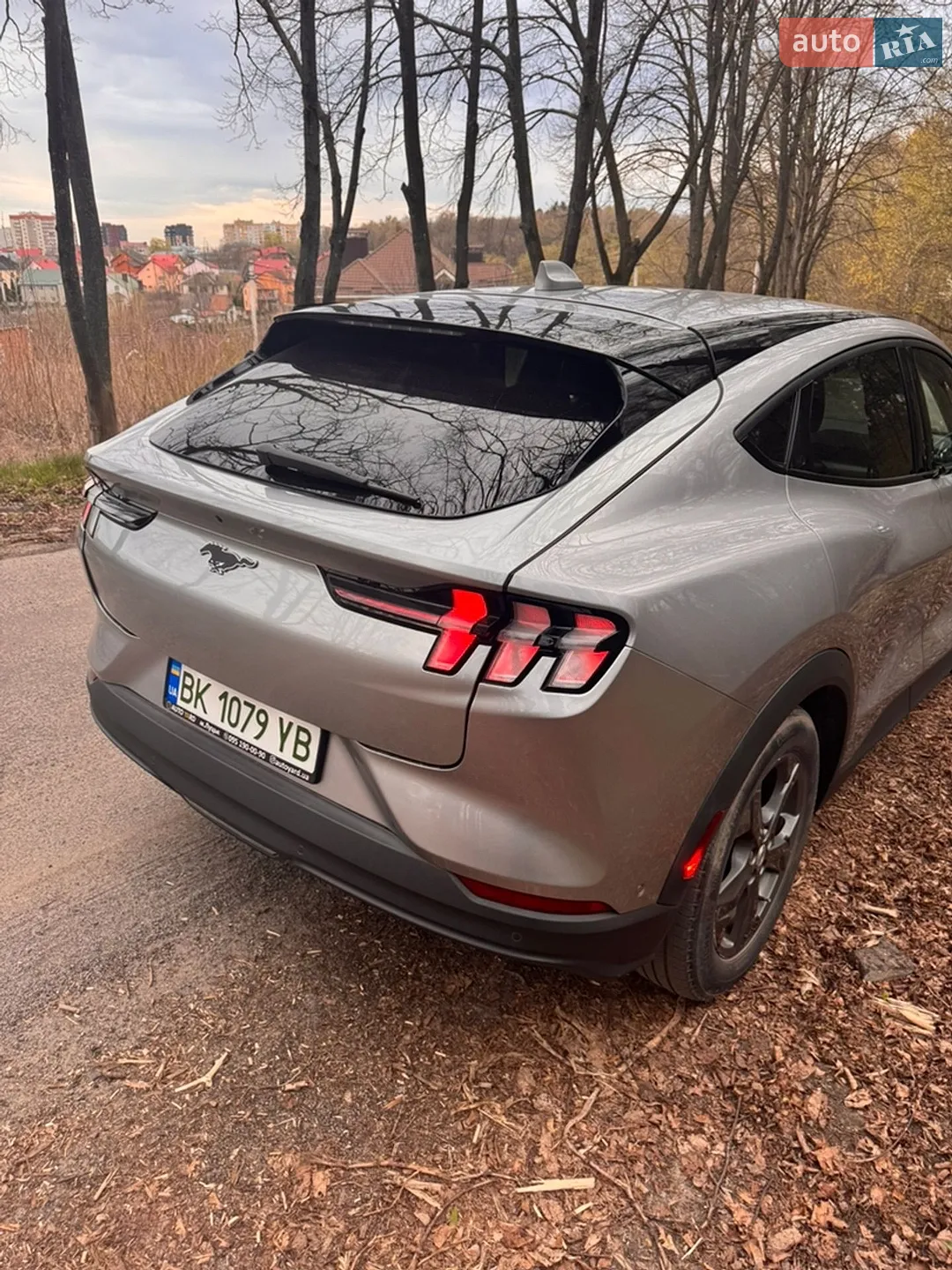 2021 Ford Mustang Mach-E - мініатюра 14