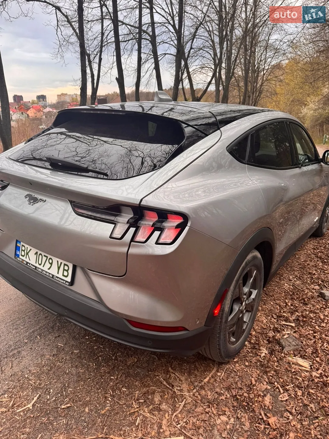 2021 Ford Mustang Mach-E - мініатюра 9