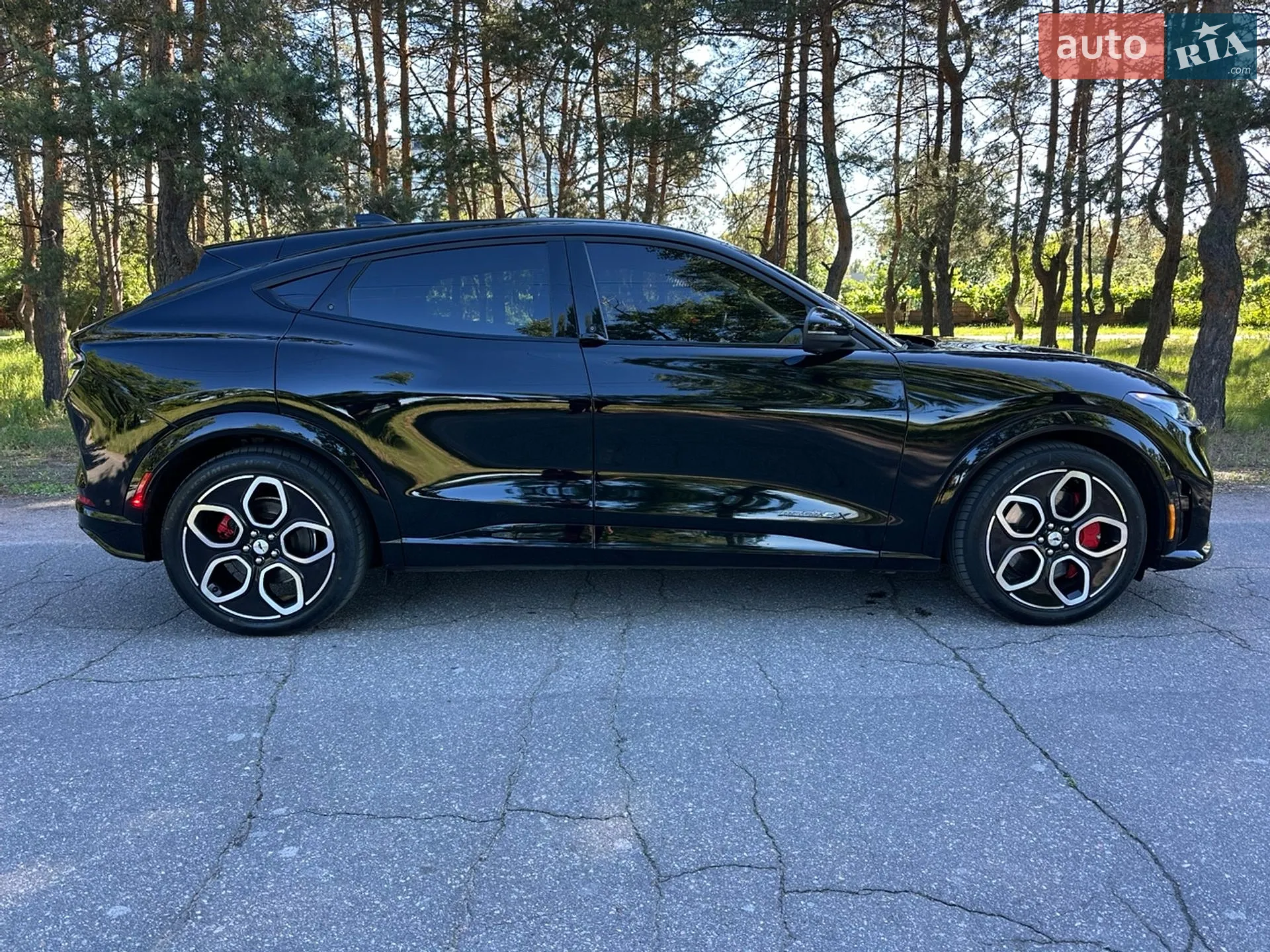 2021 Ford Mustang Mach-E - мініатюра 4