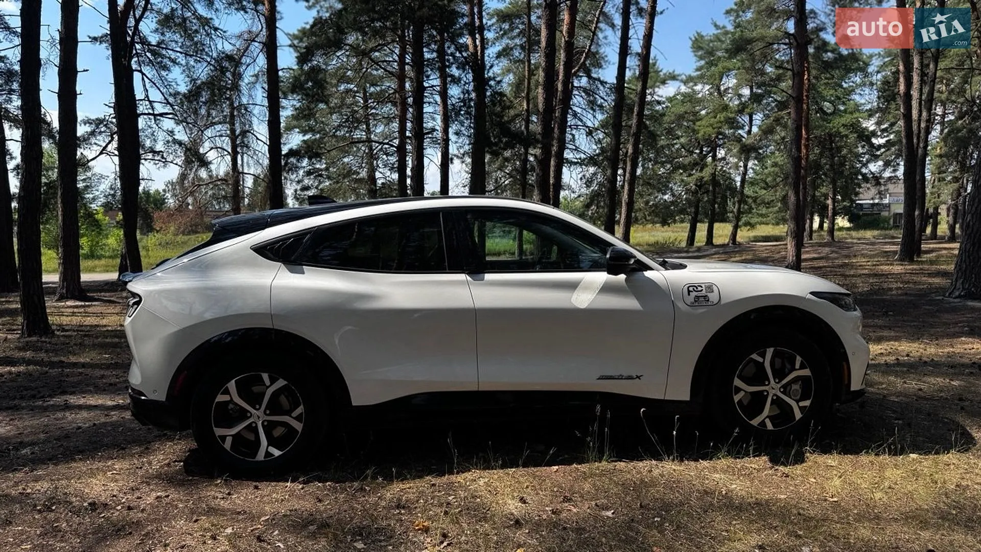 2022 Ford Mustang Mach-E - мініатюра 9
