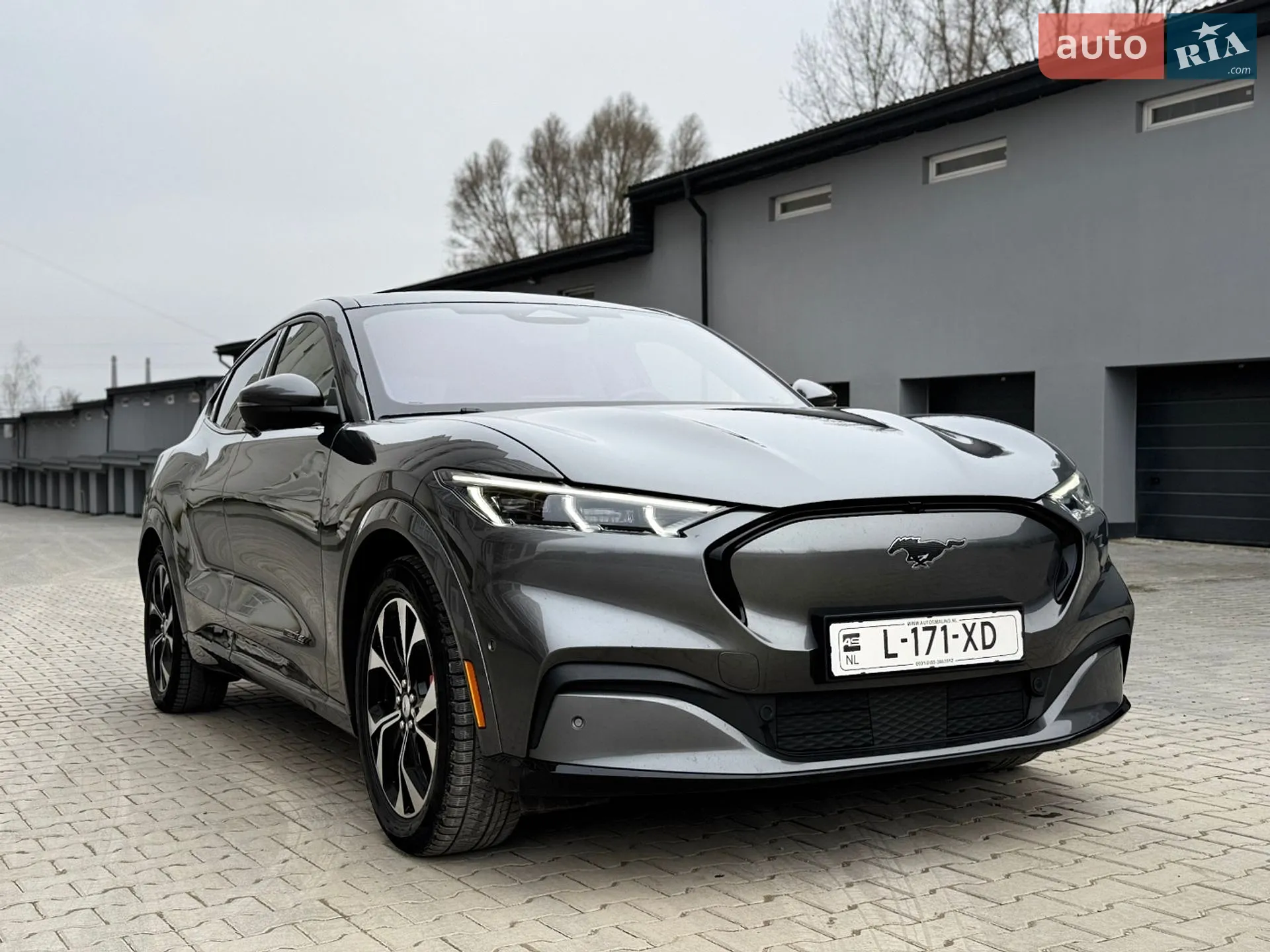 2021 Ford Mustang Mach-E - мініатюра 9