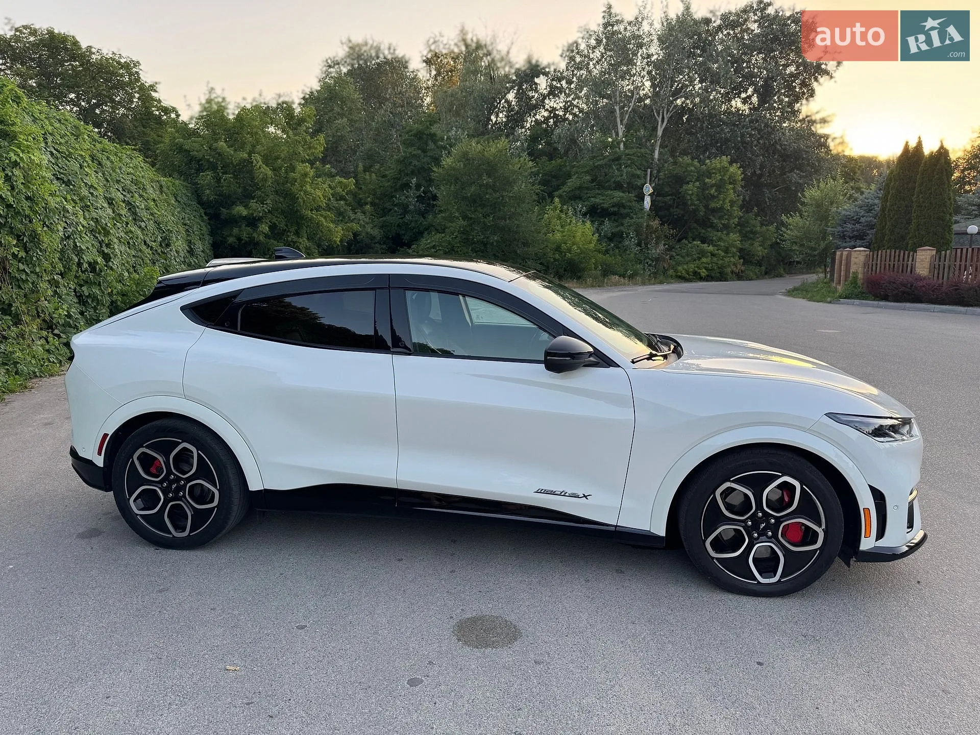2023 Ford Mustang Mach-E - мініатюра 23