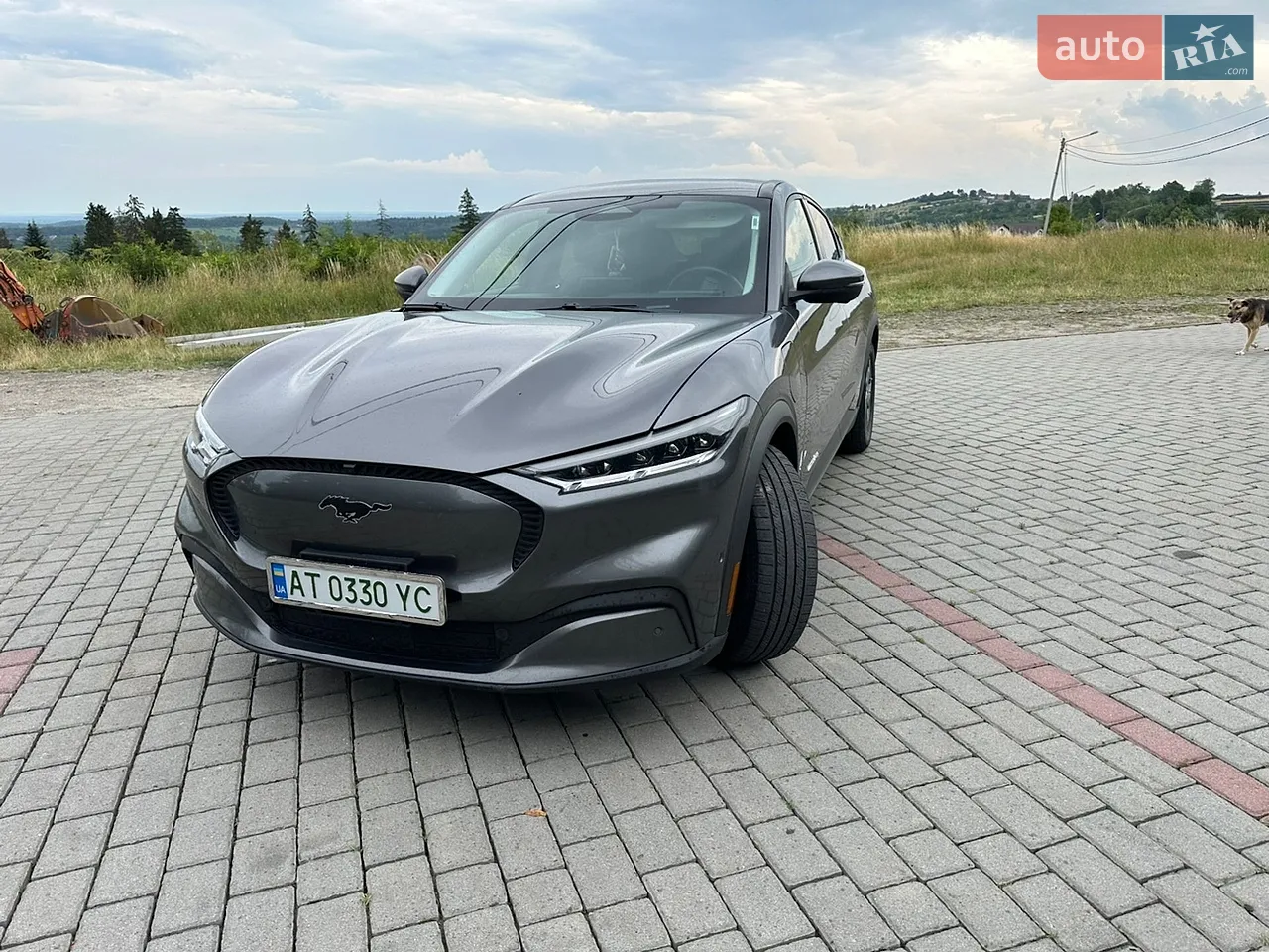 2021 Ford Mustang Mach-E - мініатюра 15