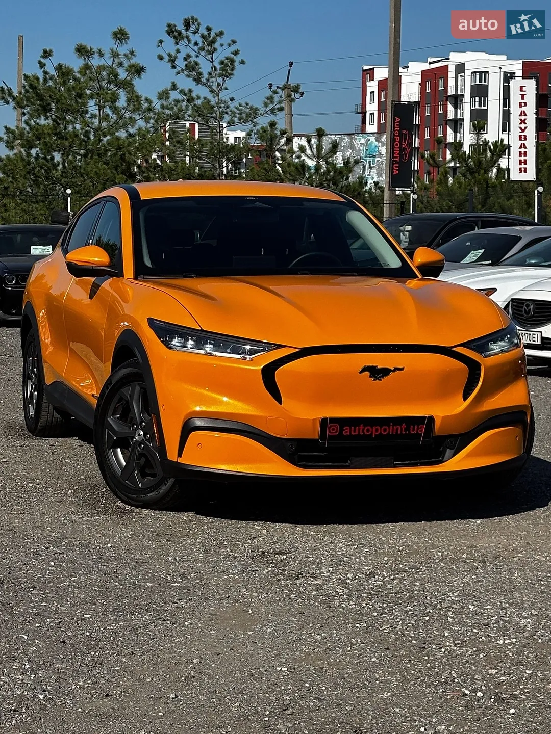 2022 Ford Mustang Mach-E - мініатюра 5