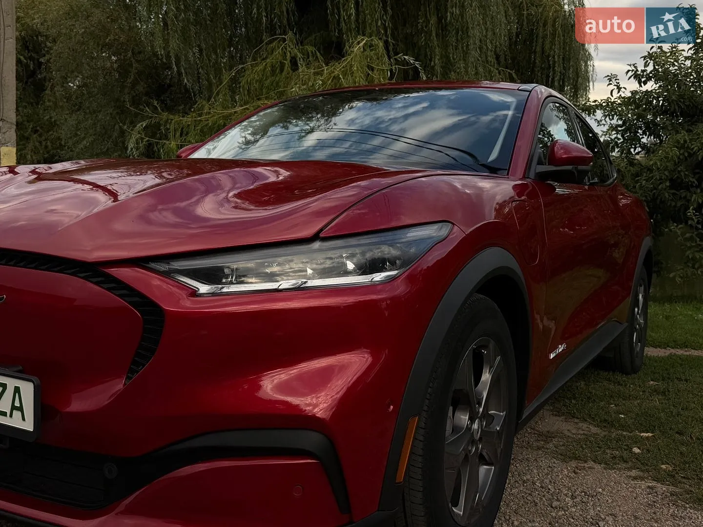 2021 Ford Mustang Mach-E - фото 1