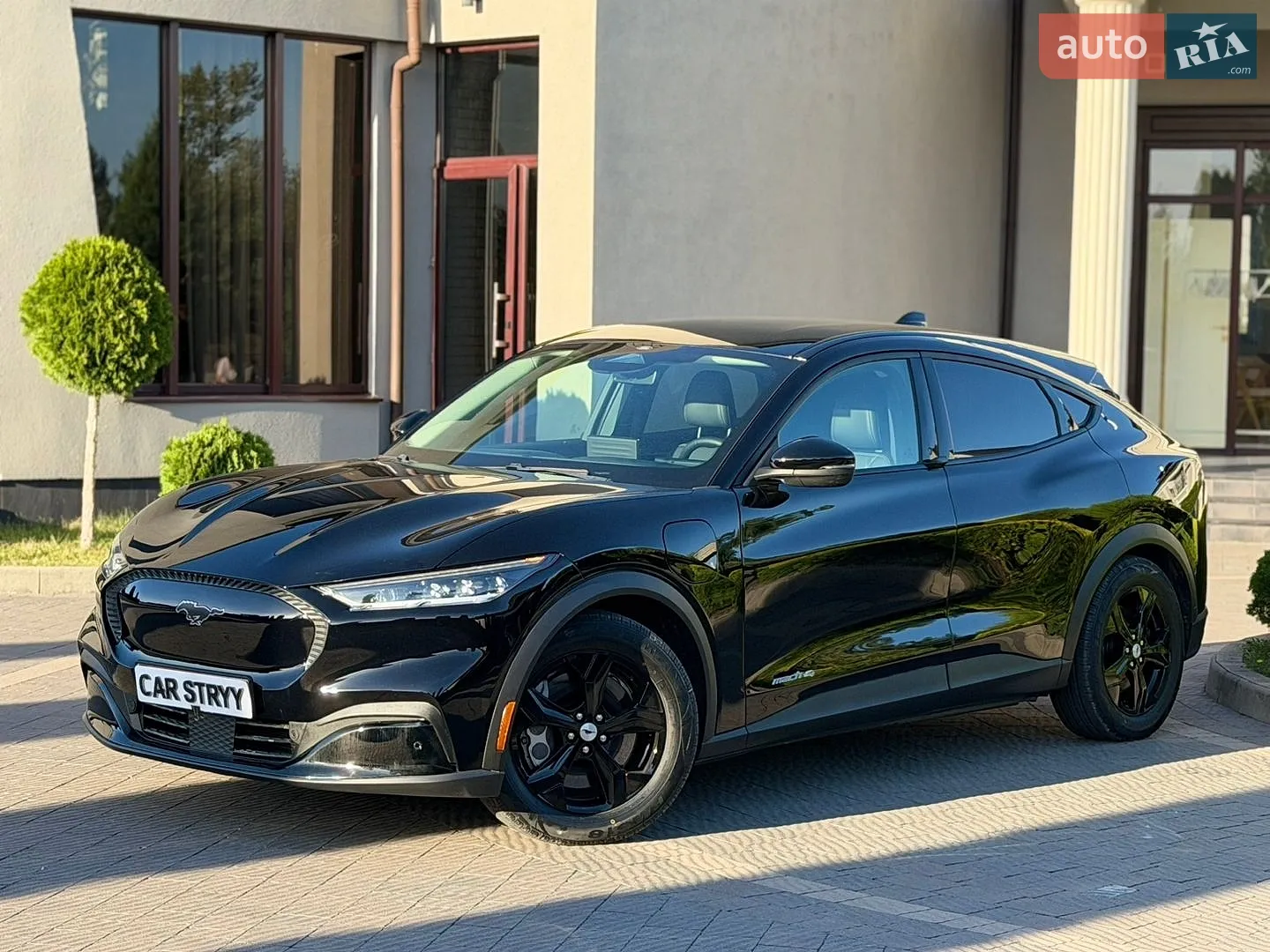 2021 Ford Mustang Mach-E - мініатюра 12