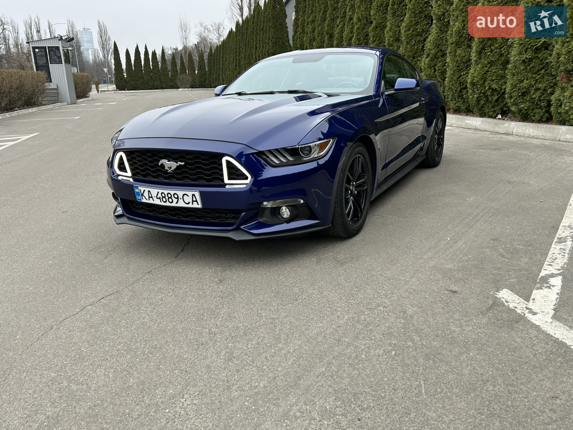 2014 Ford Mustang - мініатюра 5